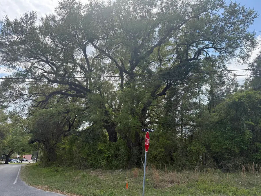 0 Old Back River Road Road, Goose Creek, SC 29445 - #2