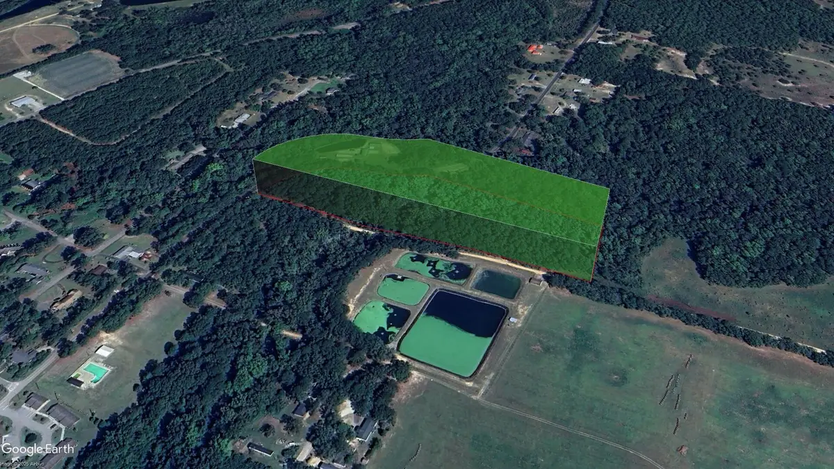 0 Browning Road, Elloree, SC 29047 - #1