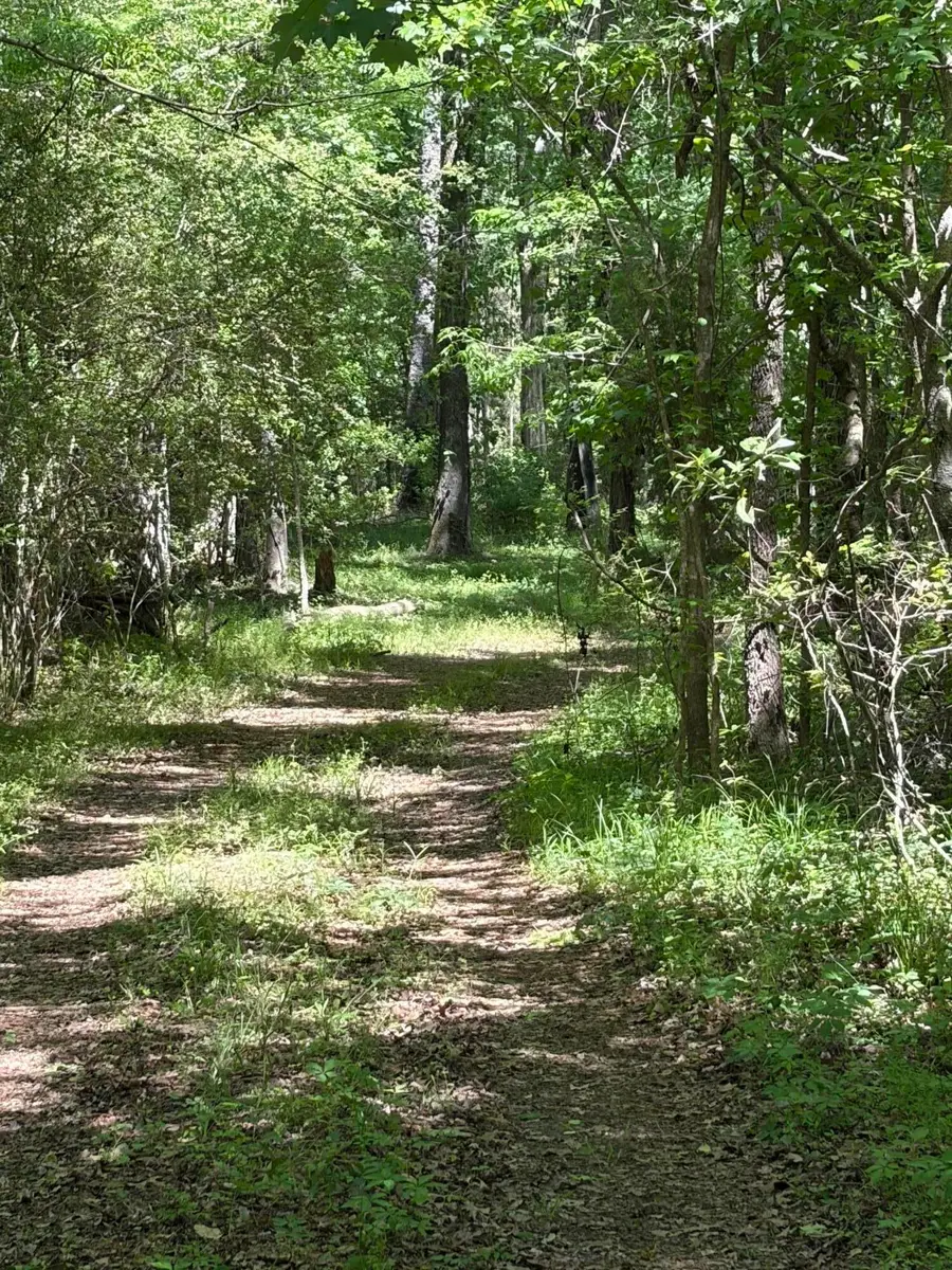 0 Thicket Lane, Saint Stephen, SC 29479 - #2