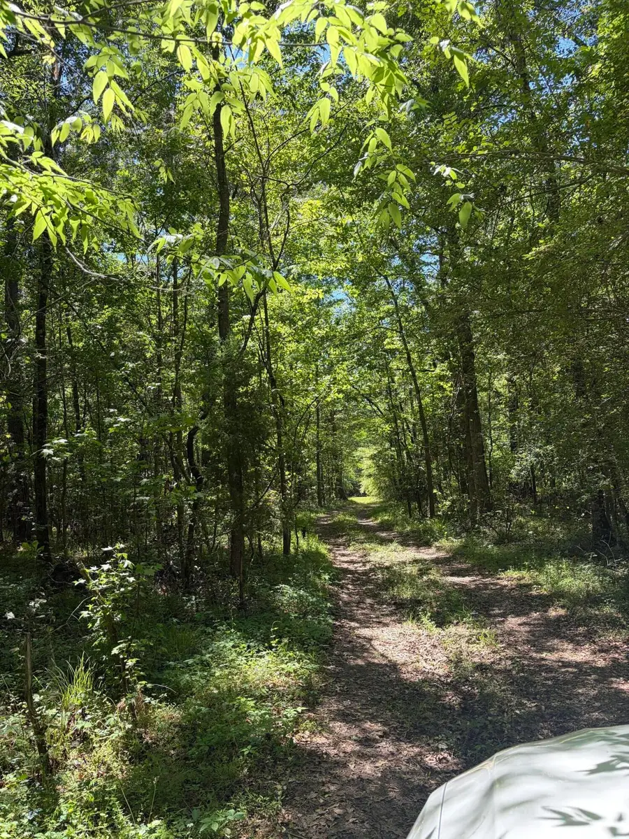 0 Thicket Lane, Saint Stephen, SC 29479 - #3