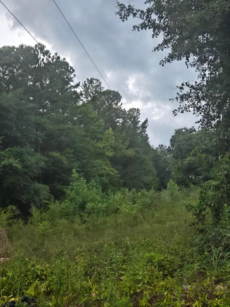 Lot 2 Rodenberry Road, Cross, SC 29436 - #3