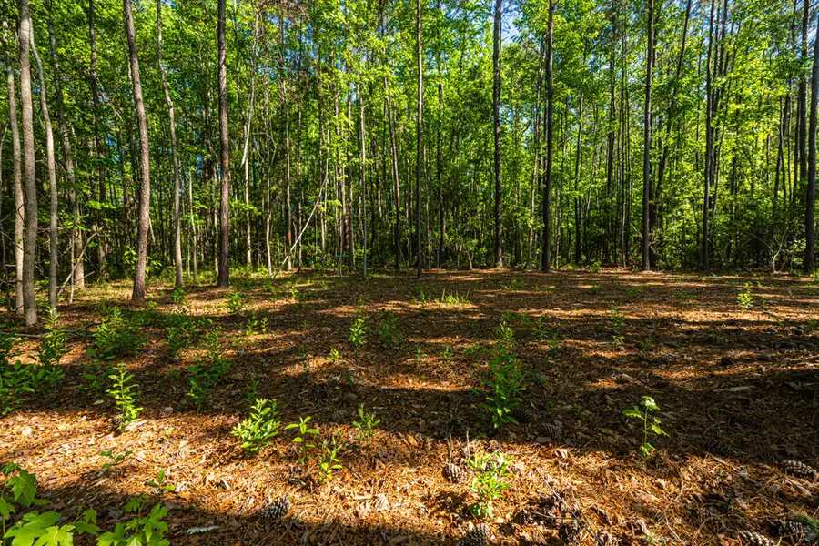 0 Delemar Highway, Ravenel, SC 29470 - #2