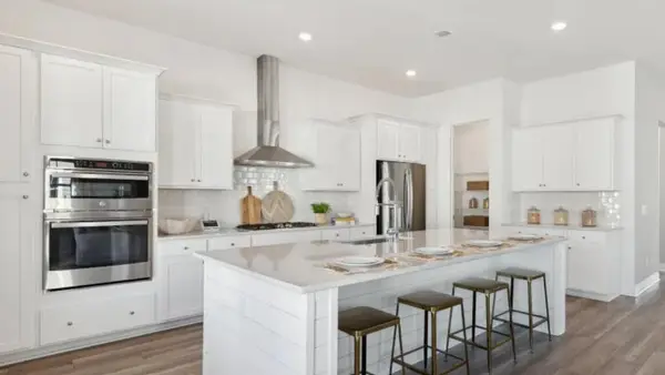 1043 Red Turnstone Run, Summerville, SC 29485