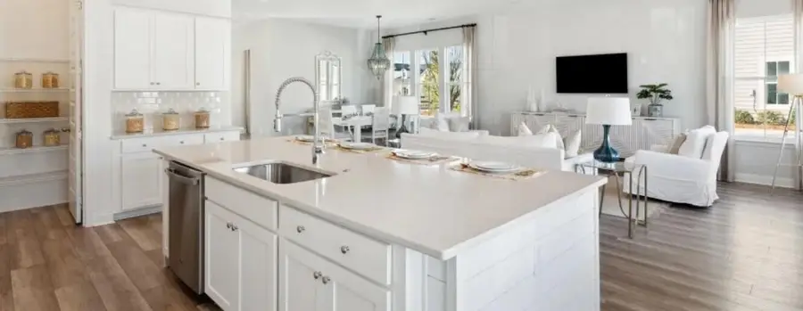 1043 Red Turnstone Run, Summerville, SC 29485 - #3