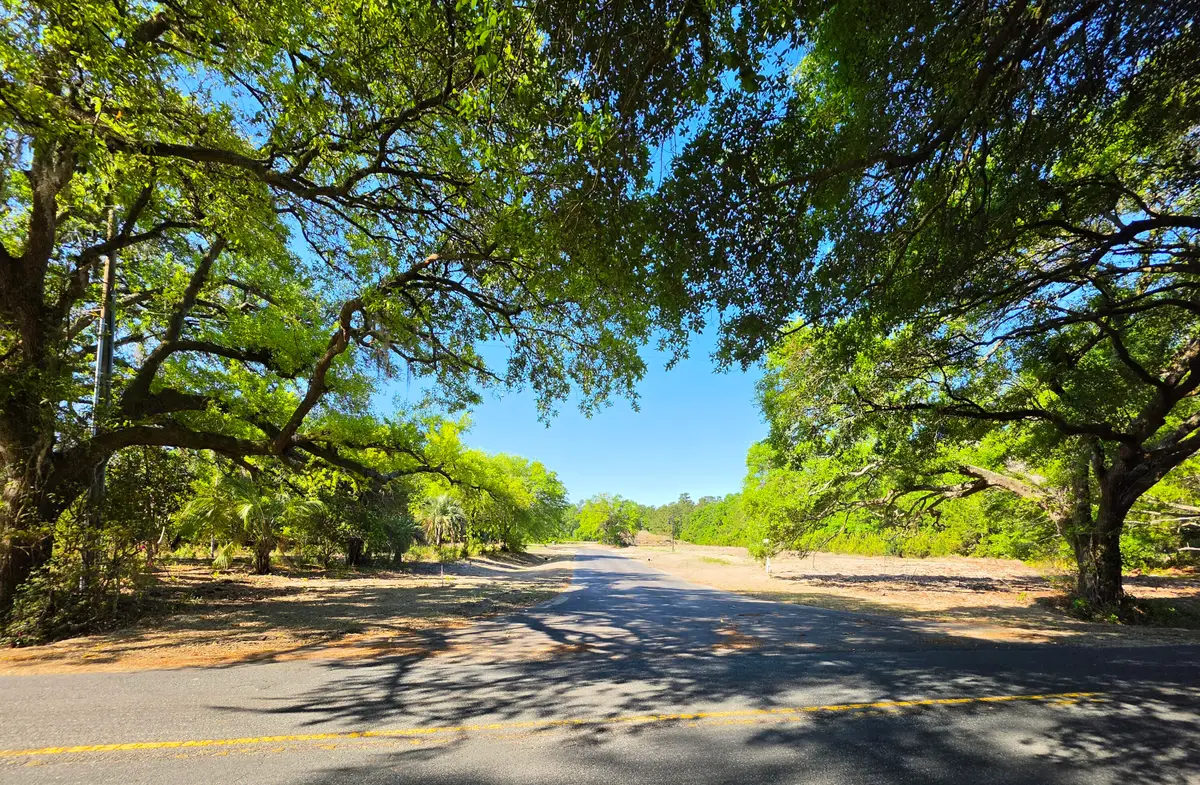 1 Harvest Moon Lane, McClellanville, SC 29458 - #1