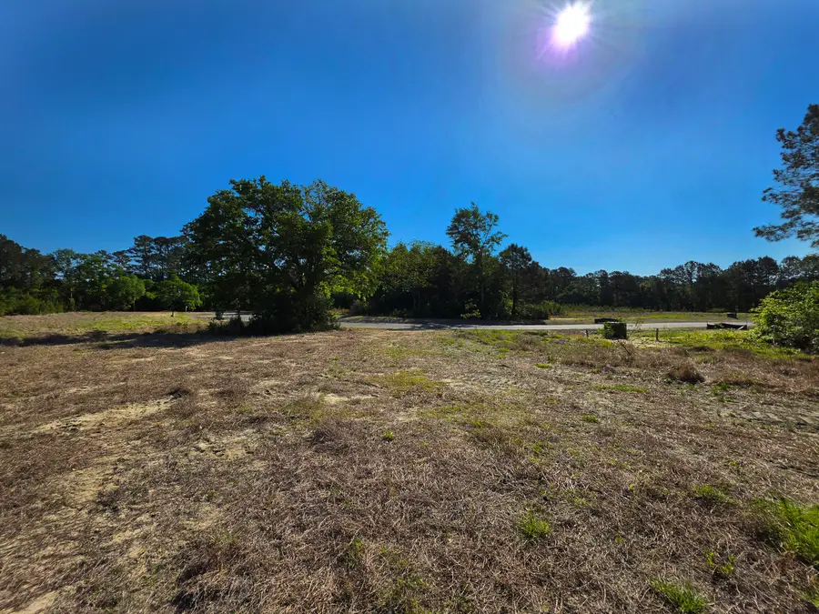 3 Harvest Moon Lane Lane #Lot 3, McClellanville, SC 29458 - #3
