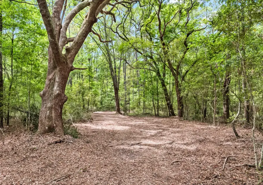 1 Frisco Lane, Johns Island, SC 29455 - #3