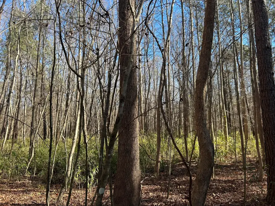 0 Highway 261, Kingstree, SC 29556 - #2