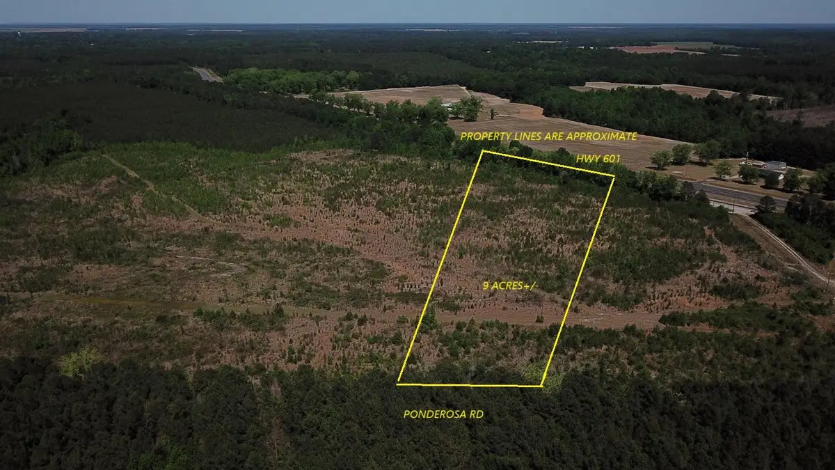 0000 Ponderosa Road, Saint Matthews, SC 29135 - #1