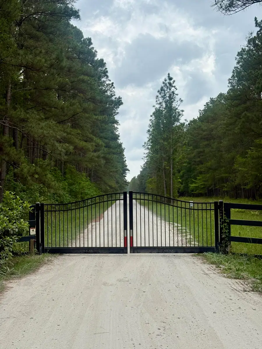 9760 Two Pines Road, McClellanville, SC 29458 - #3
