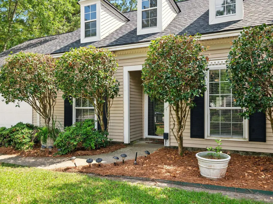 113 Mapperton Court, Summerville, SC 29485 - #3