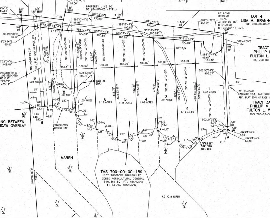 1150 Theodore Brunson Road, Awendaw, SC 29429 - #2