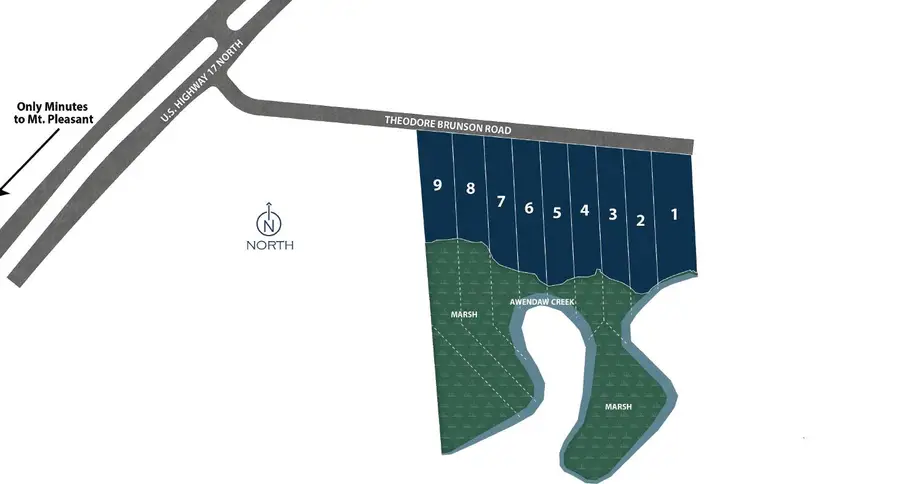 1150 Theodore Brunson Road, Awendaw, SC 29429 - #3