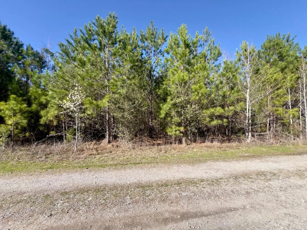 4 Devine Way, Cross, SC 29436 - #1