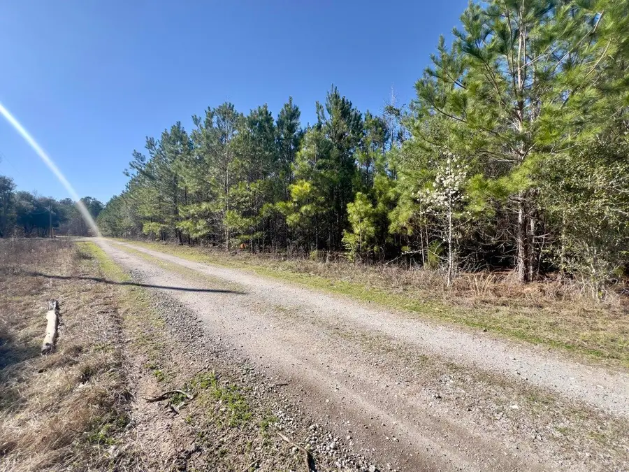 4 Devine Way, Cross, SC 29436 - #3