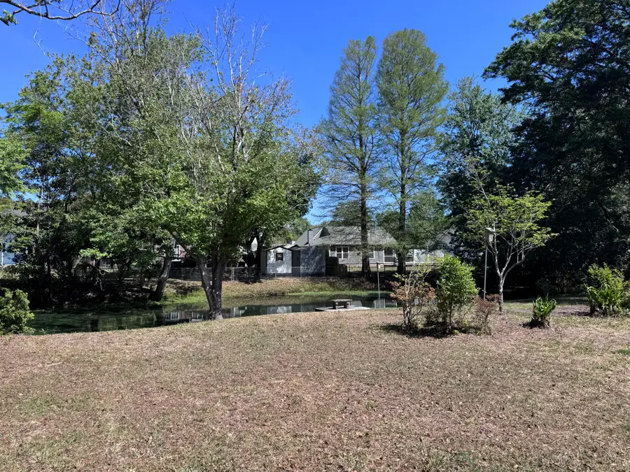 686 Pelzer Drive, Mount Pleasant, SC 29464 - #2