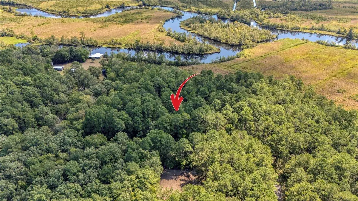 Address Withheld By Seller, Walterboro, SC 29488 - #1