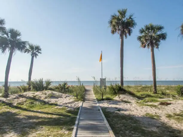 259 Sea Cloud Circle, Edisto Island, SC 29438 - #1