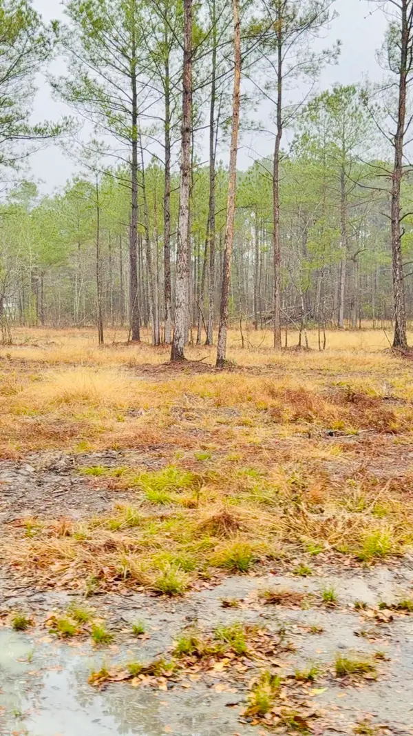 312 Heaven Drive, Saint Stephen, SC 29479