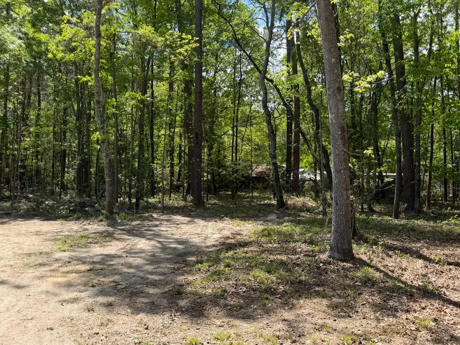 115 Ash Hill Drive, Eutawville, SC 29048 - #2