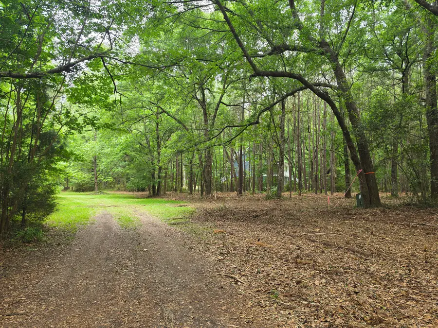 248 Warren Drive, McClellanville, SC 29458 - #2