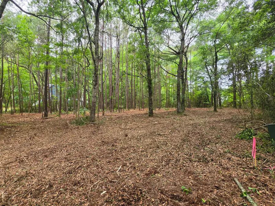 248 Warren Drive, McClellanville, SC 29458 - #3