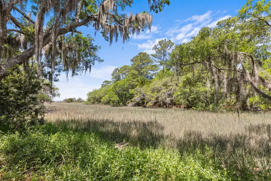 1008 Embassy Row Way, Seabrook Island, SC 29455 - #2