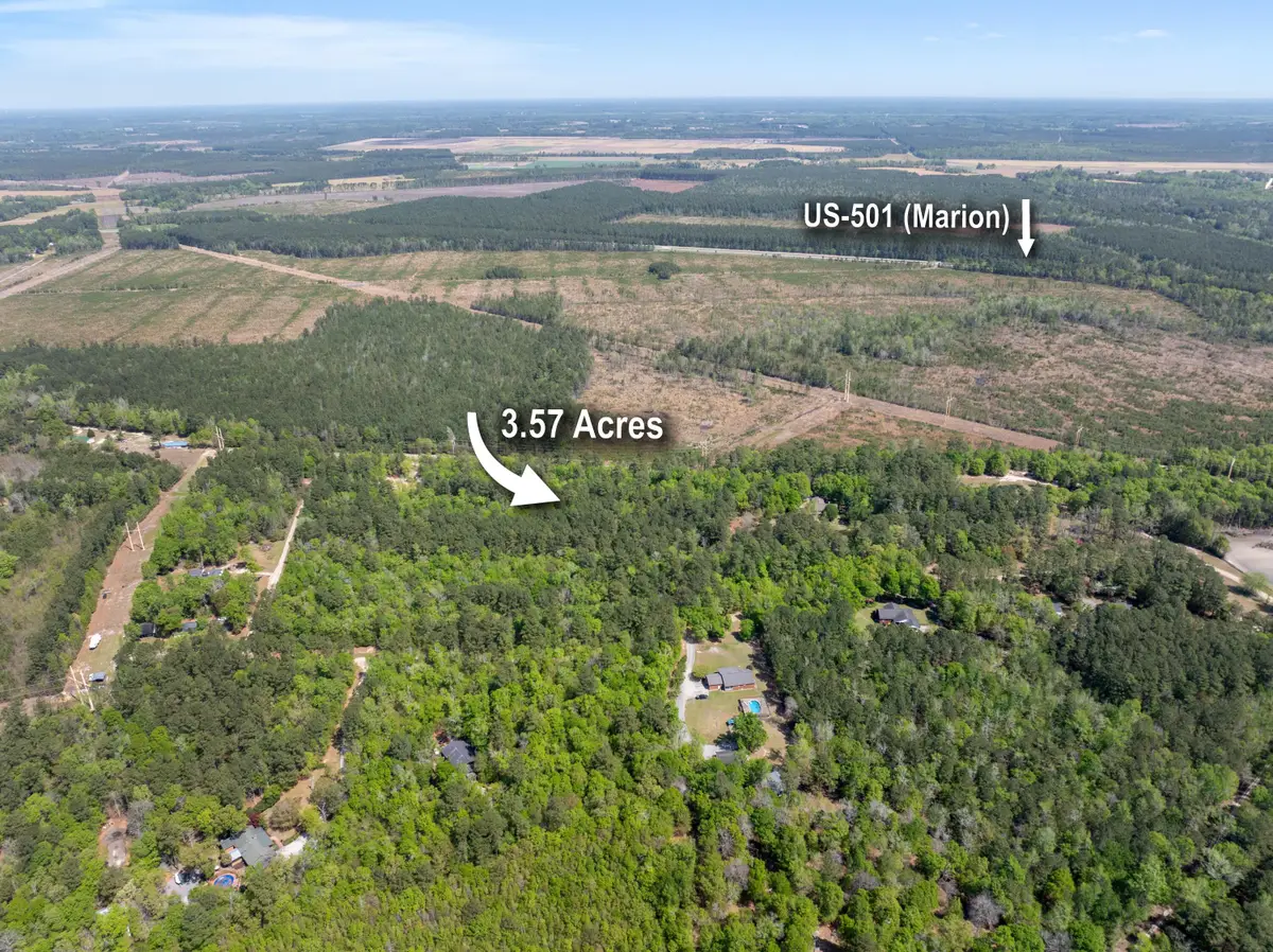 0 Forest Place, Marion, SC 29571 - #1