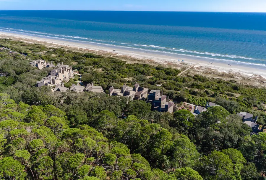 1108 Diodia Court, Kiawah Island, SC 29455 - #2