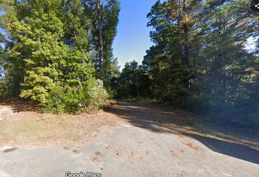 950 Trinkets Loop, Johns Island, SC 29455 - #3