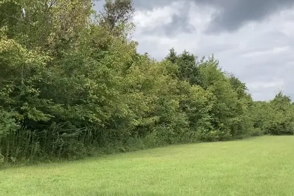 423 Furman Lane, Ladson, SC 29456