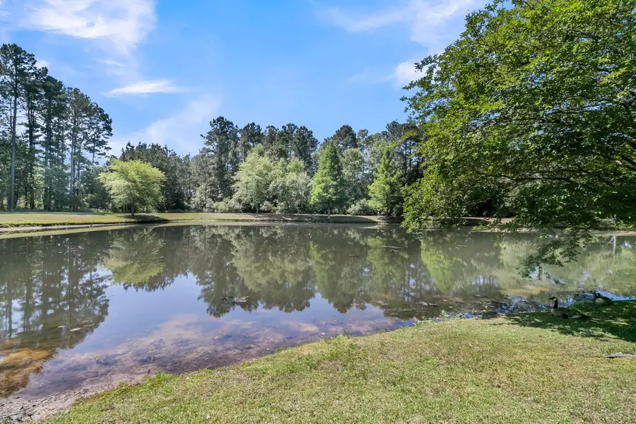 106 Dovetail Circle, Summerville, SC 29483 - #3