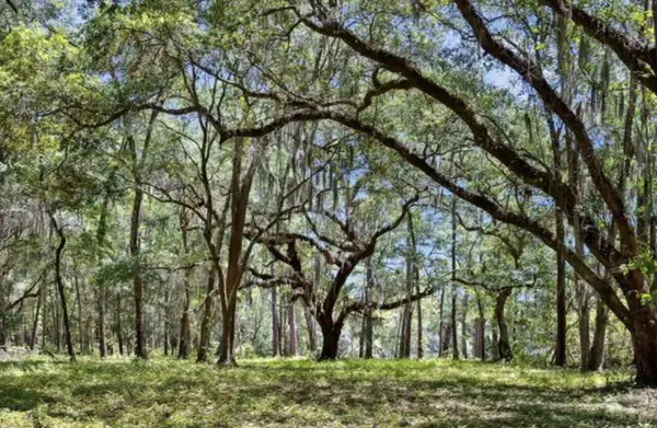 7767 Chaplin Garden Lane, Edisto Island, SC 29438