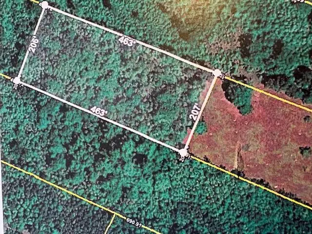 0 Youngs Road, Eutawville, SC 29048 - #1