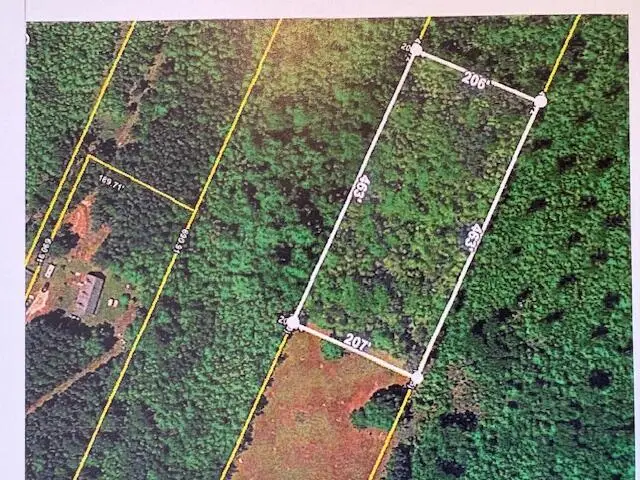 0 Youngs Road, Eutawville, SC 29048 - #3