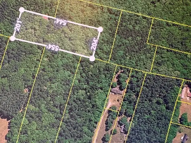 0 State Road S-38-1641, Eutawville, SC 29048 - #3