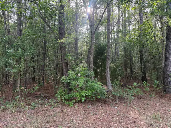 00 Sable Lane, Huger, SC 29450