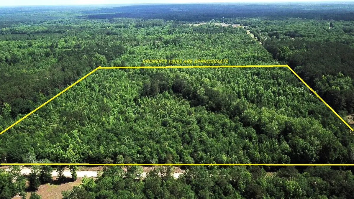 0 New Light Drive, Neeses, SC 29107 - #1