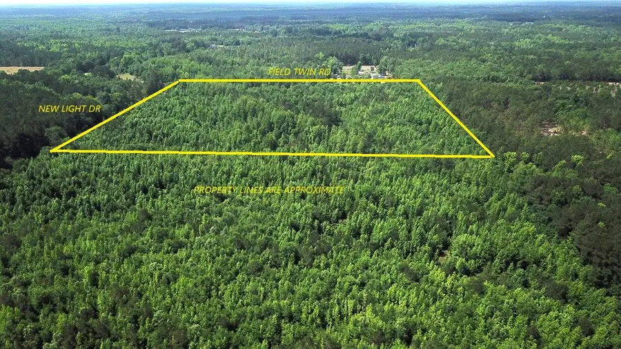 0 New Light Drive, Neeses, SC 29107 - #3