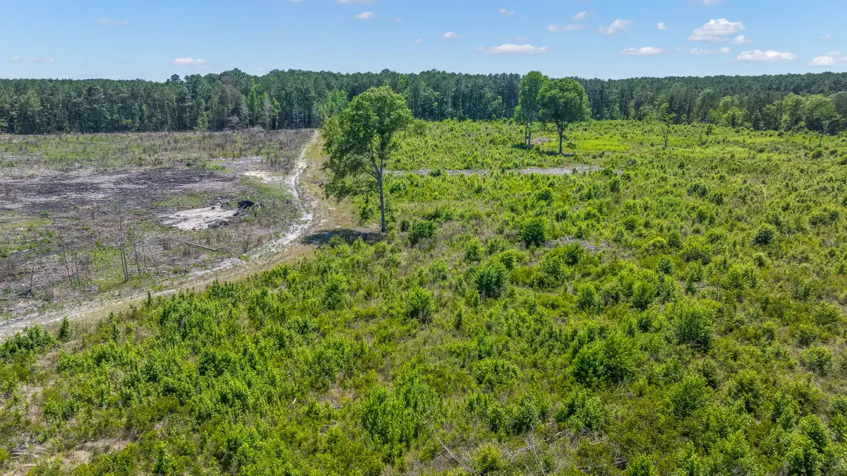 0 St Julian Drive, Cross, SC 29436 - #1