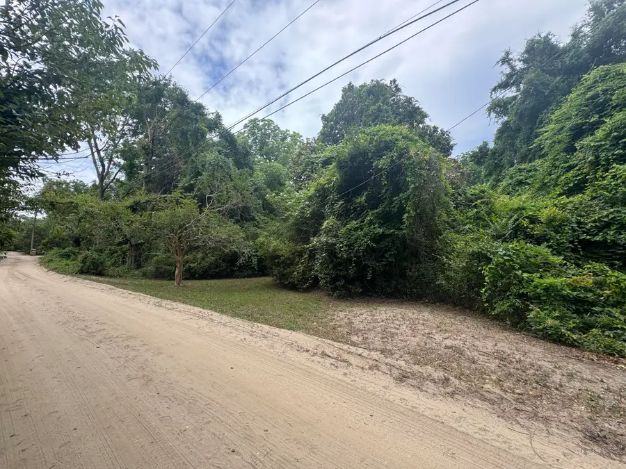1327 North And South Road, Charleston, SC 29412 - #3
