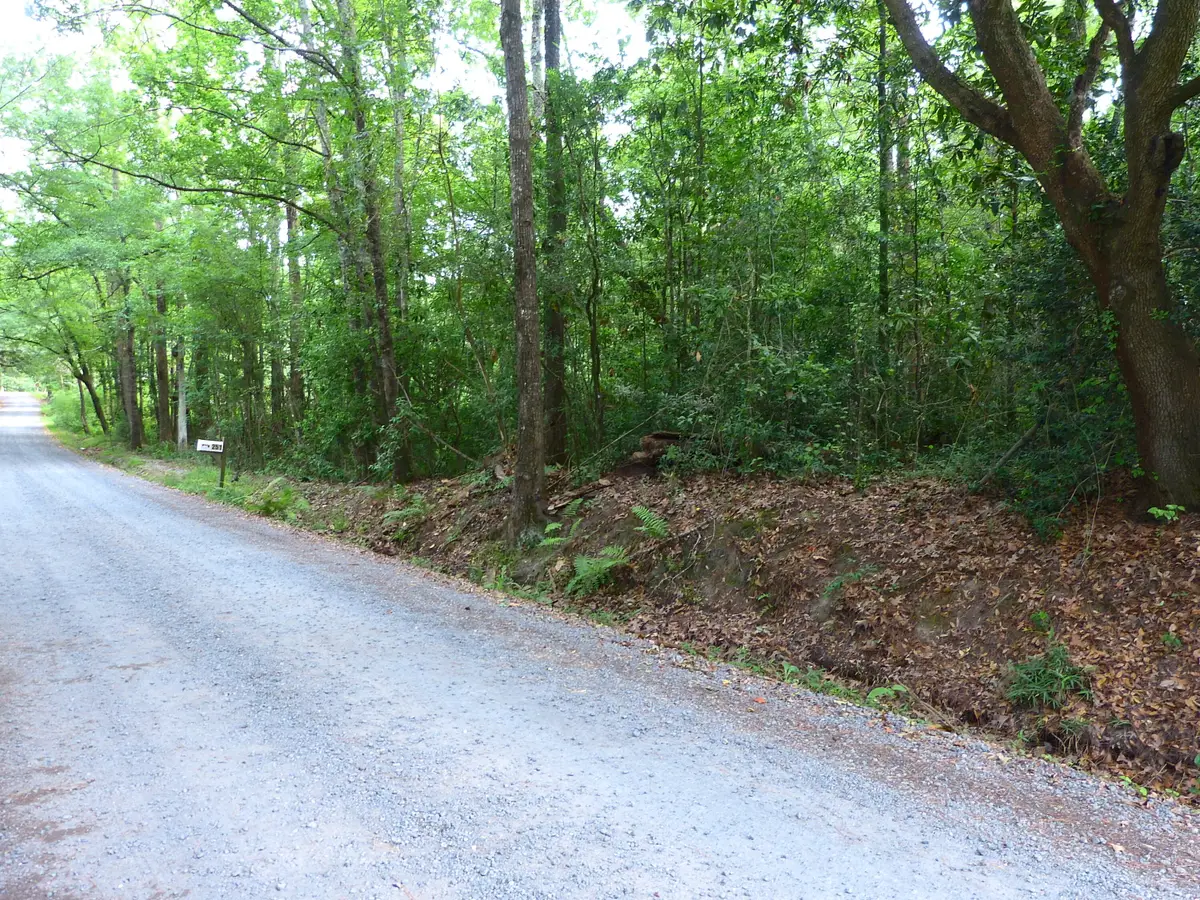 0 Branch Road, Moncks Corner, SC 29461 - #1