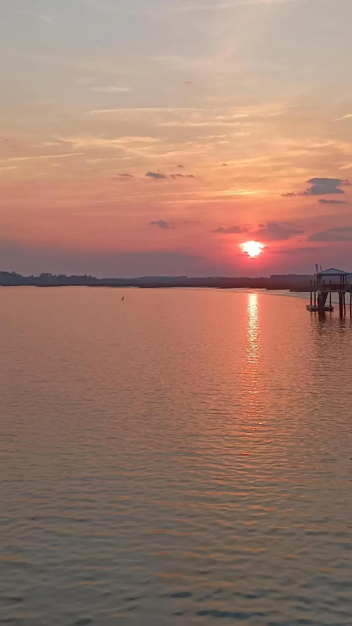 171 Bennett Island Dr., Green Pond, SC 29446 - #1