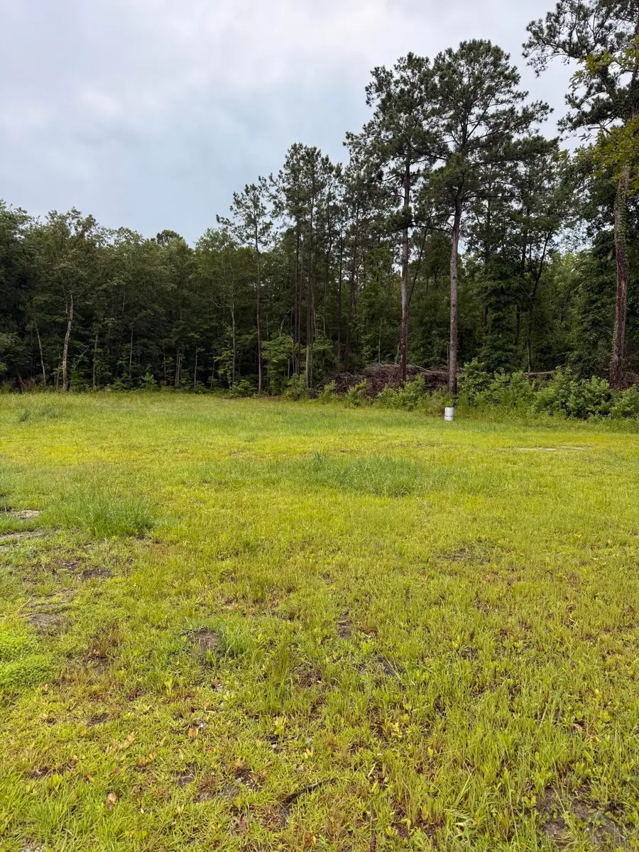 206 General Moultrie Drive, Bonneau, SC 29431 - #2