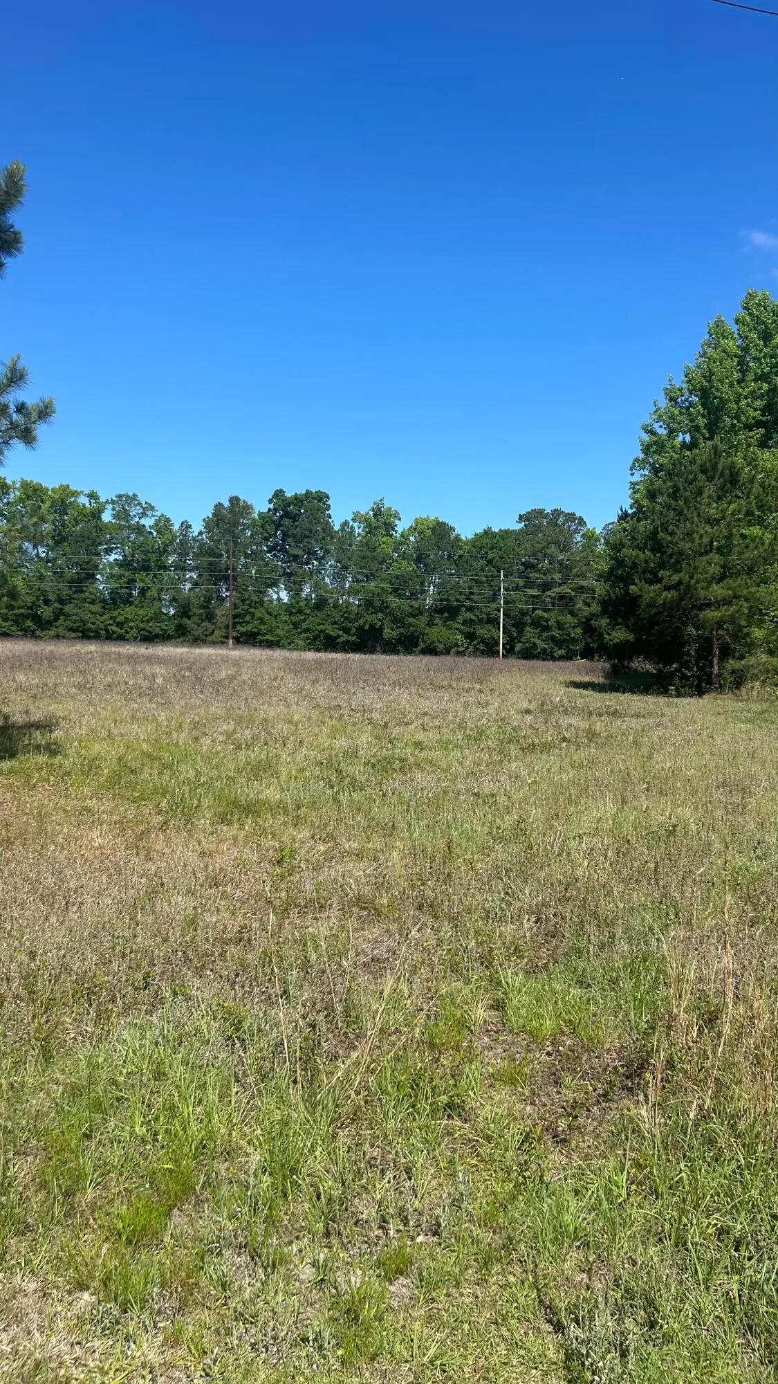 0 Pleasant Grove Road, Walterboro, SC 29488 - #1