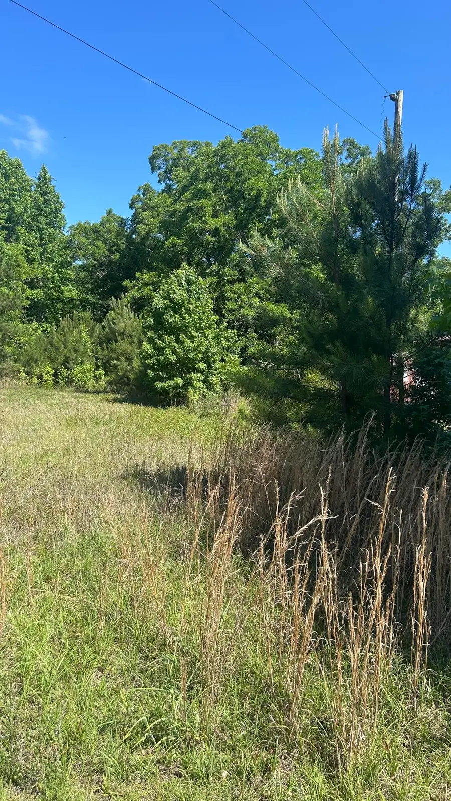 0 Pleasant Grove Road, Walterboro, SC 29488 - #3