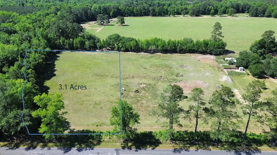 0000 Mt Carmel Road, Walterboro, SC 29488 - #2
