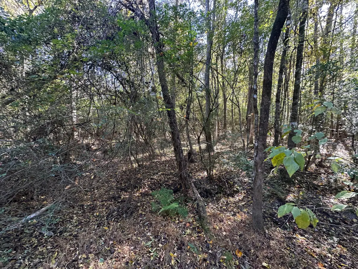0 Willington Drive, Ridgeville, SC 29472 - #1