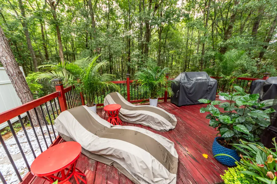 313 Grand Palm Lane, Summerville, SC 29485 - #2