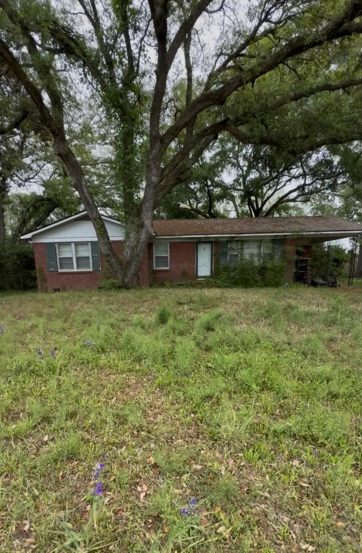 357 Harvard Court, Ladson, SC 29456 - #1